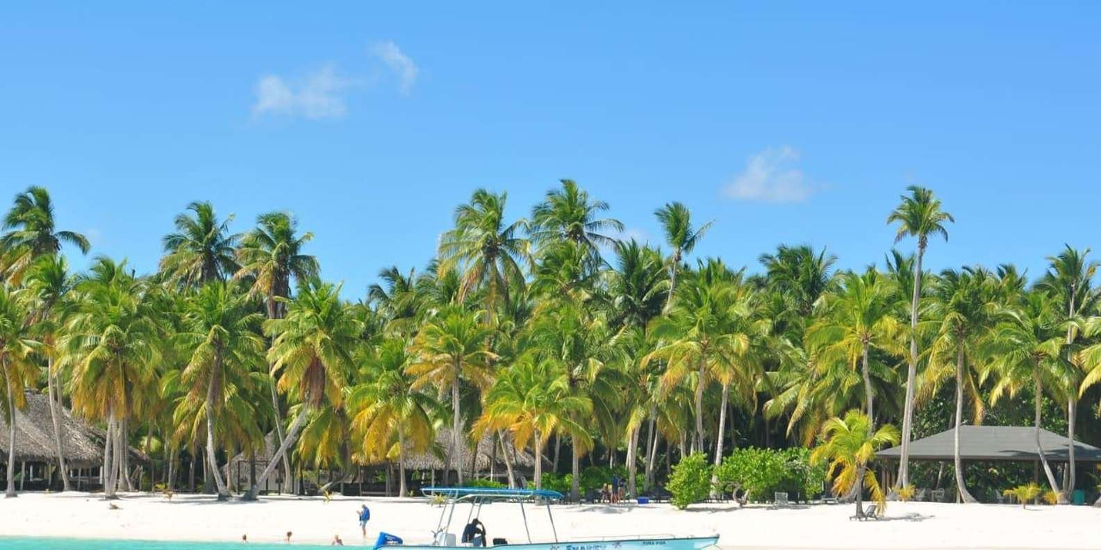 Full-Day Saona Island Tour by Speedboat