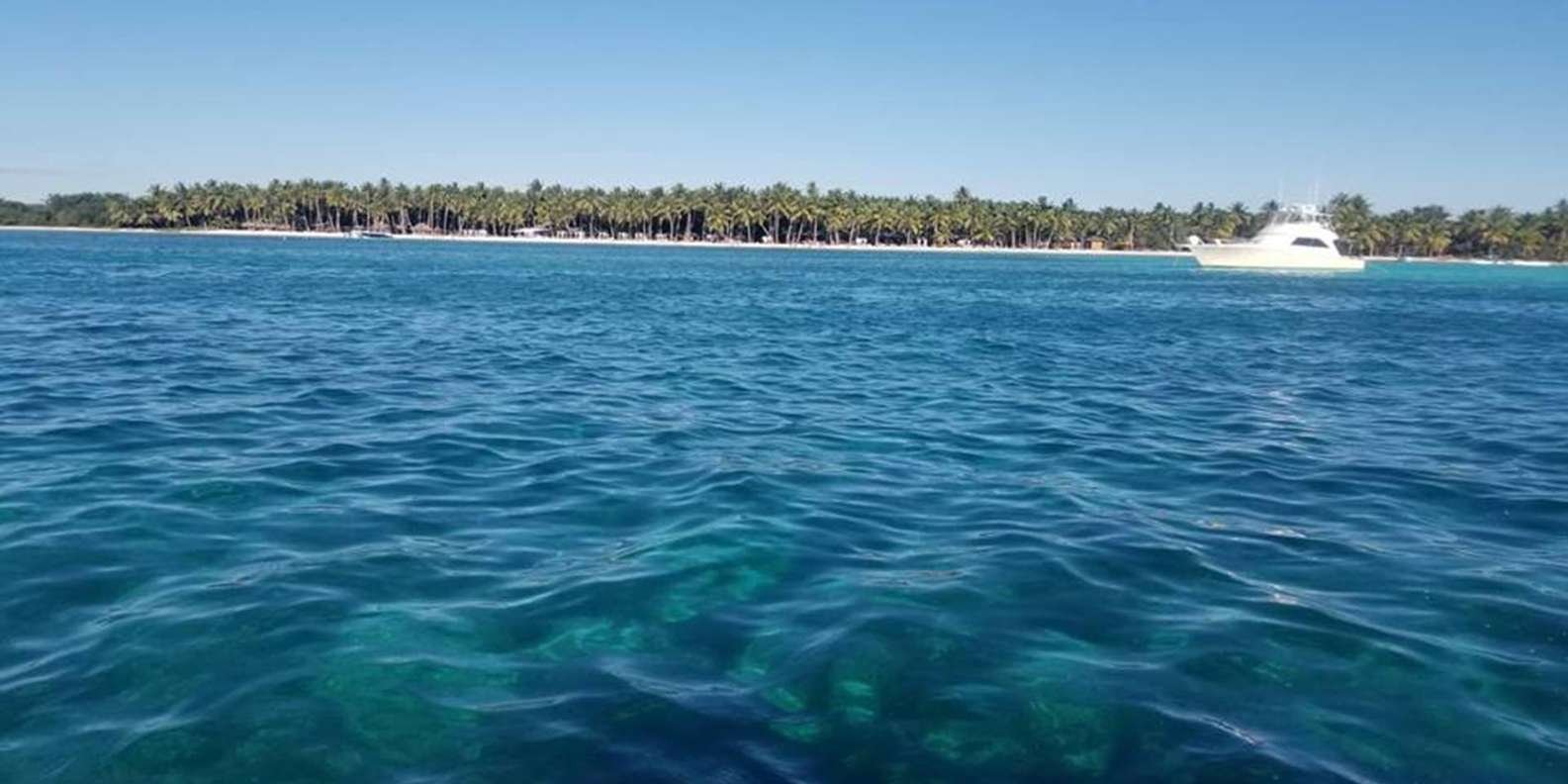 All-Inclusive Saona Island Day Trip from Punta Cana - Image 14