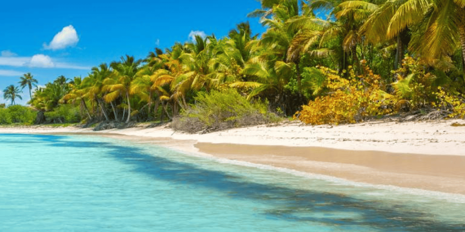 Explore Saona Island: Catamaran Tour from Punta Cana