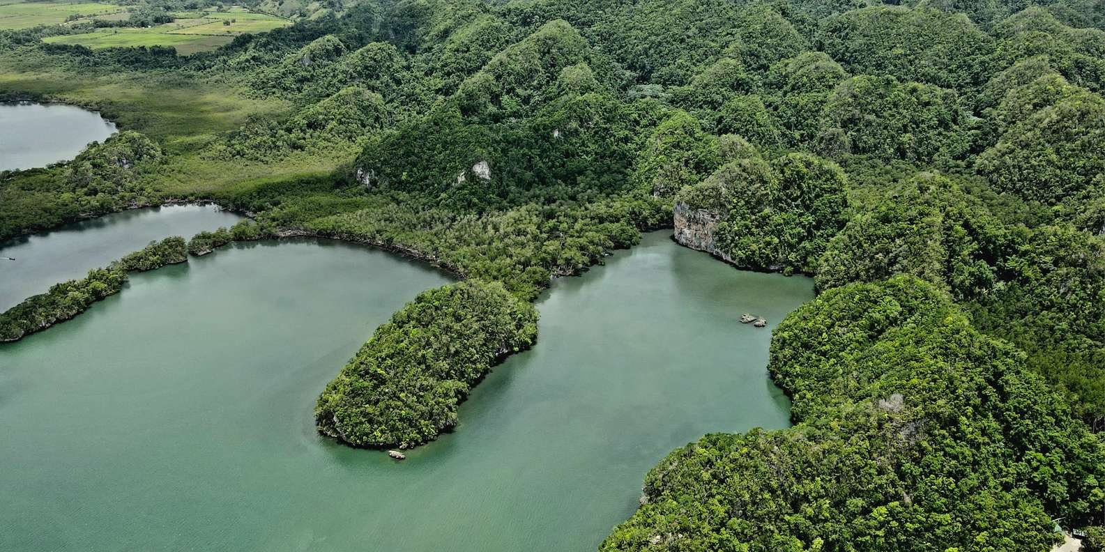 Miches: Los Haitises, Transfer, Walking & Boat tour. - Obrázek 3