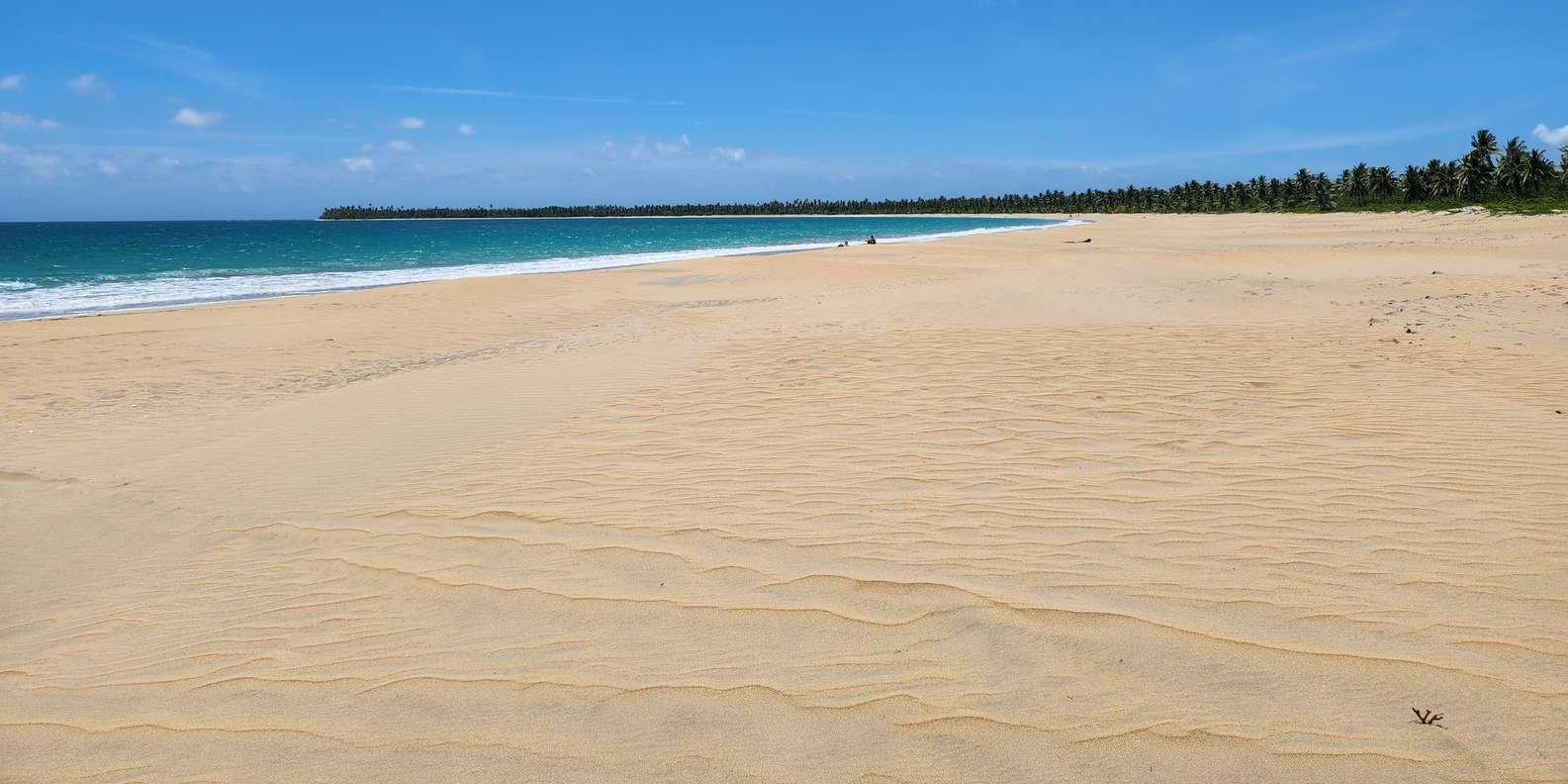 Los Haitises & Esmeralda Beach + Montana Redonda - Image 3