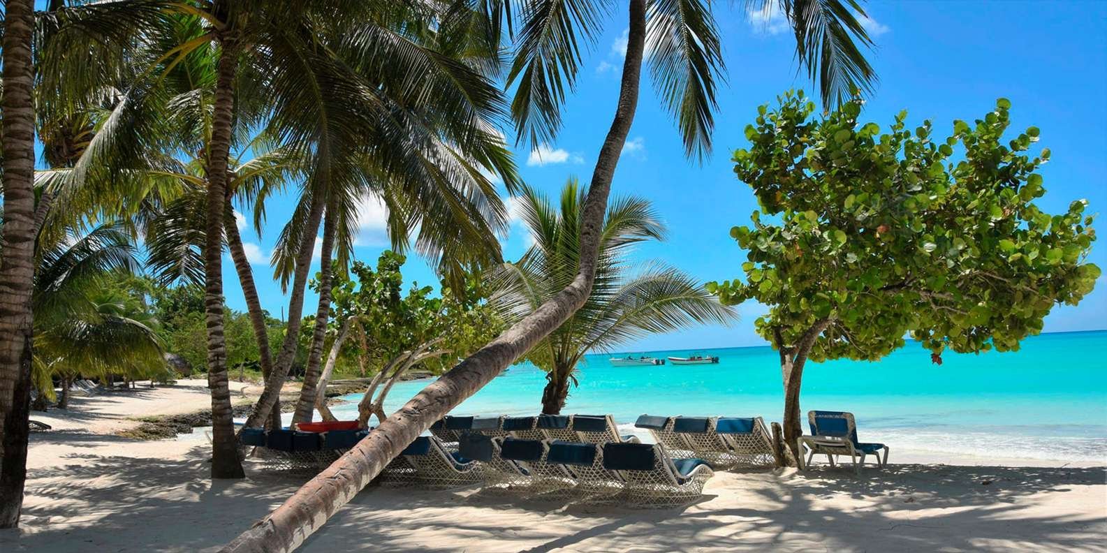 Saona Island Full Day For Small Group Catamaran VIP - Immagine 3