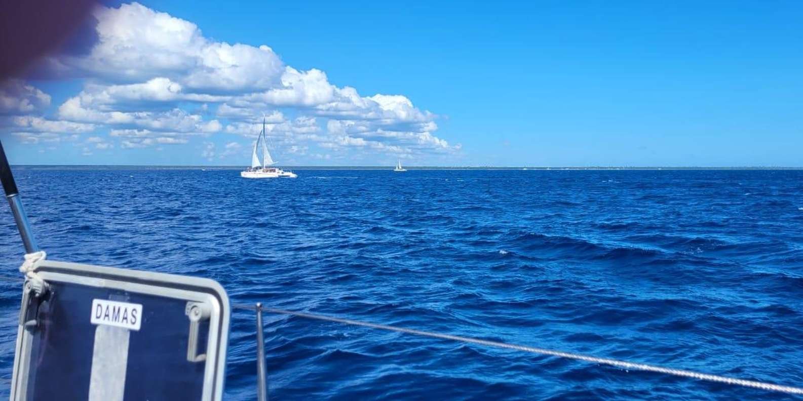 Isla Saona Day Trip From Santo Domingo with Lunch - Bild 3