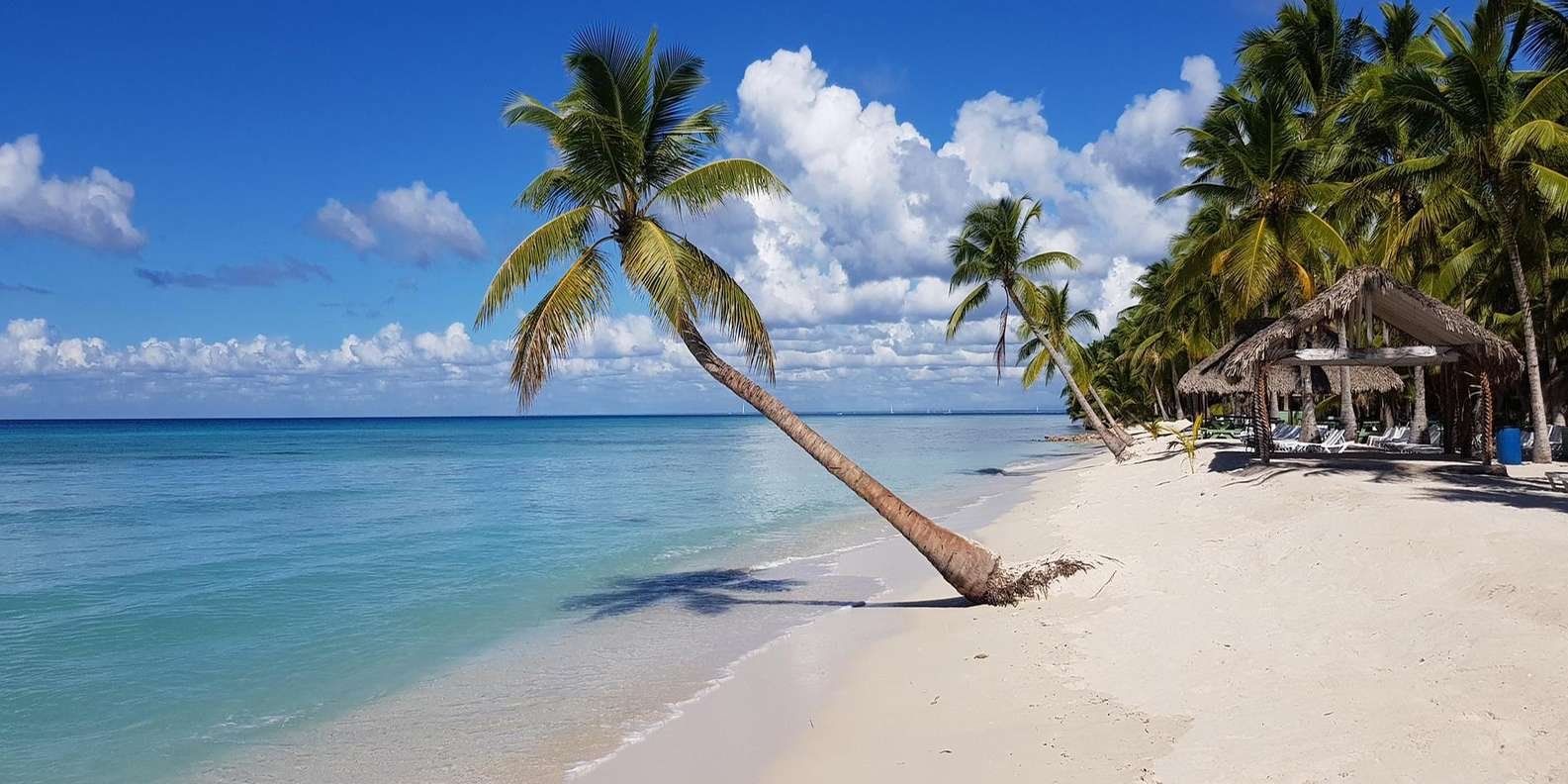 Full-Day Saona Island Tour by Speedboat - Bild 3