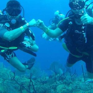 diving without a license catalina island from punta cana