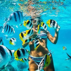Catalina Island Full-Day Snorkeling + Lunch from Punta Cana