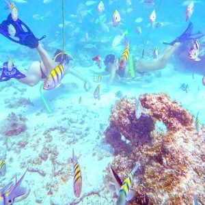 Punta Cana: Guided Power Dive Adventure
