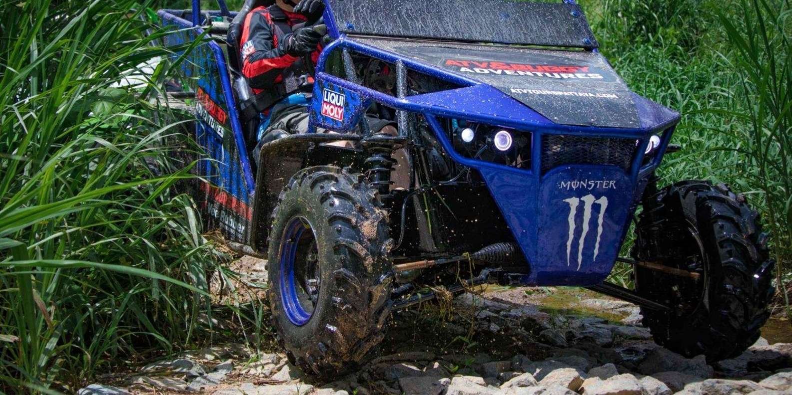 Shore Excursion Cruise ship Waterfalls y Buggys - Bild 4