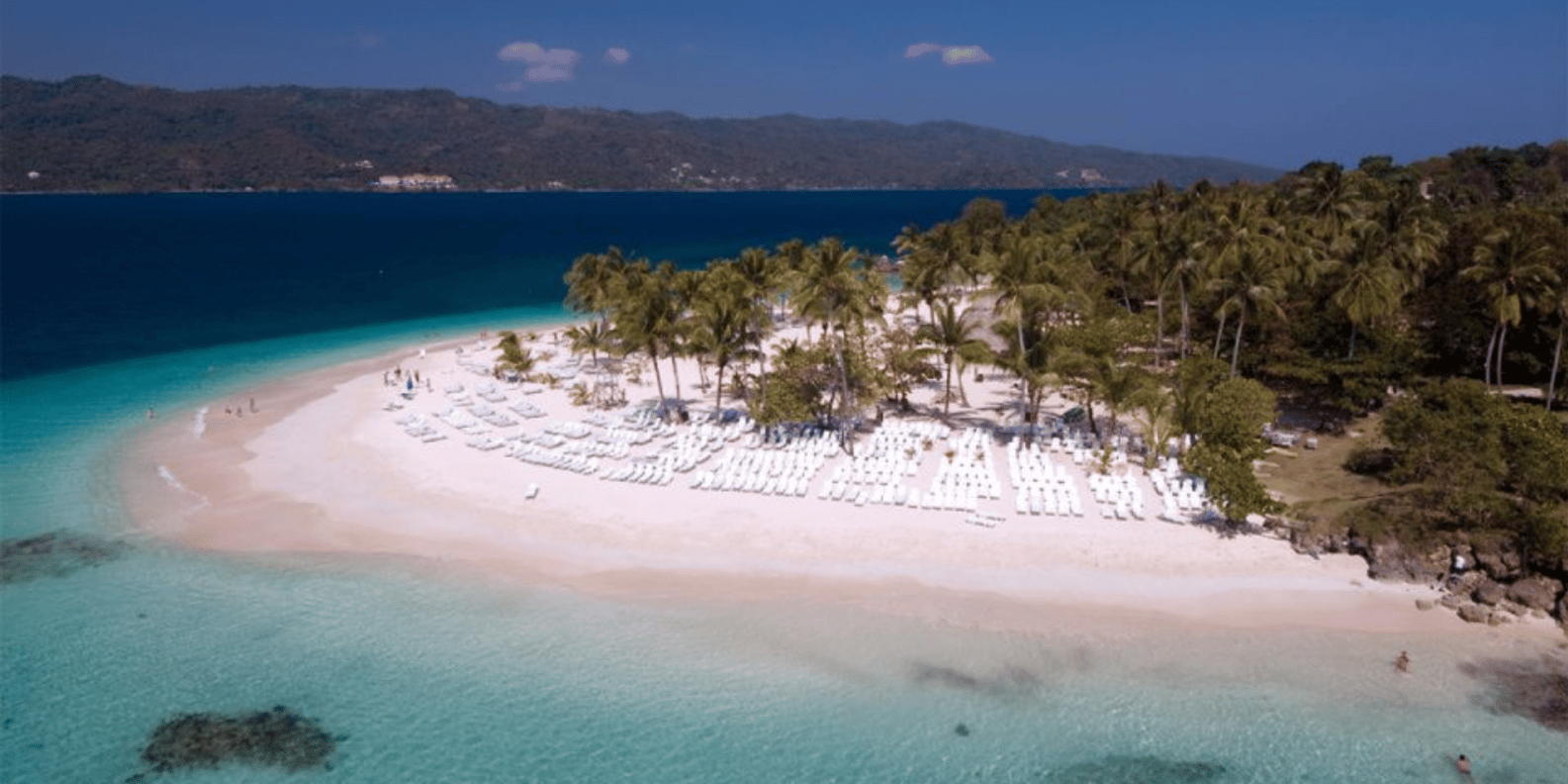 Whale Watching + Cayo Levantado - Bild 7