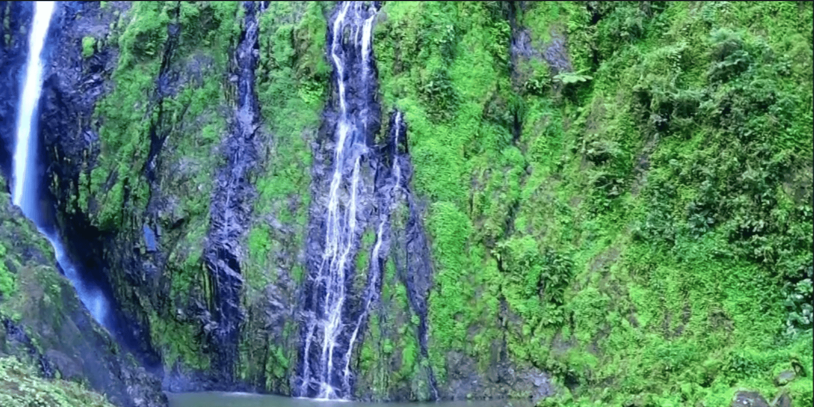 Salto de la Jalda – Horseback & Hiking Adventure From Miches - Obrázek 5