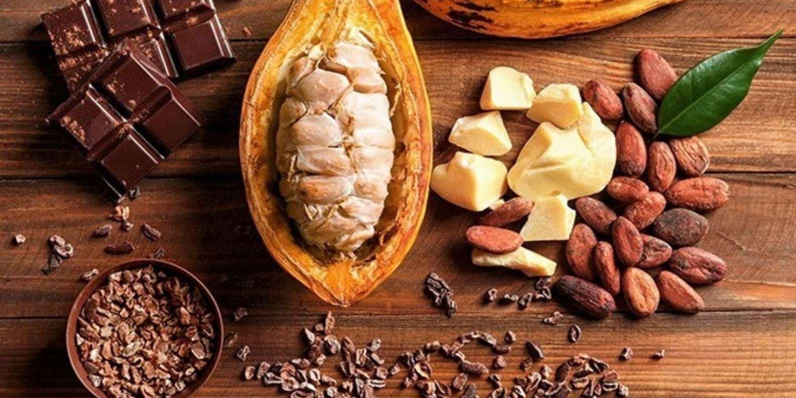 2hour horseback riding adventure on the beach jungle & river - Image 4