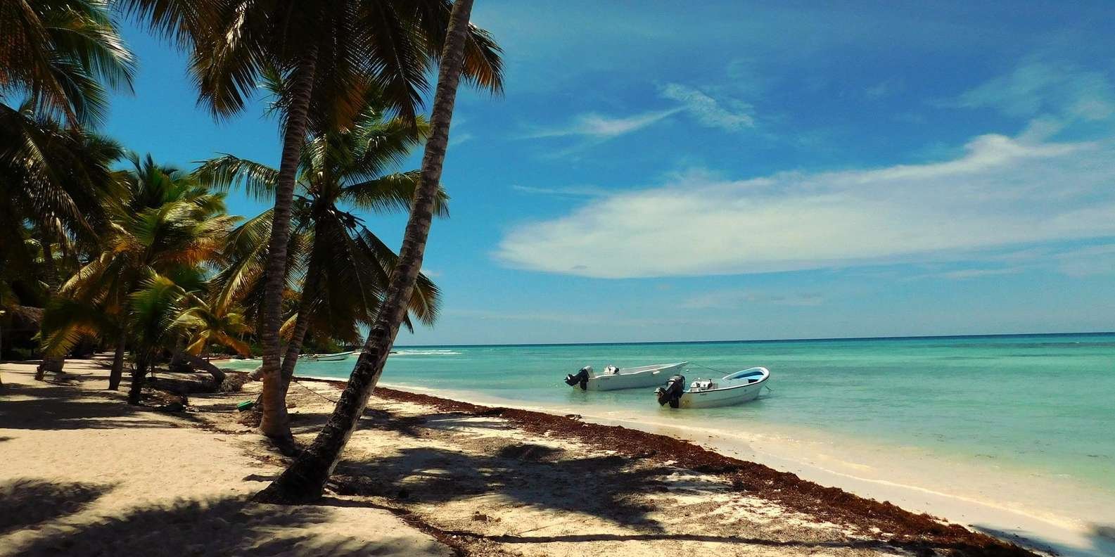 Full-Day Saona Island Tour by Speedboat - Bild 4