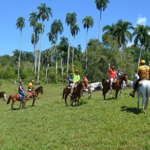 Puerto Plata Combo Experience: Zip-line + Horseback Riding
