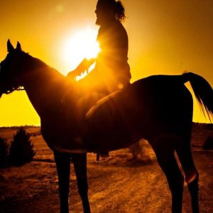 Punta Cana: Cavalcata al tramonto nella spiaggia e nella foresta di Macao