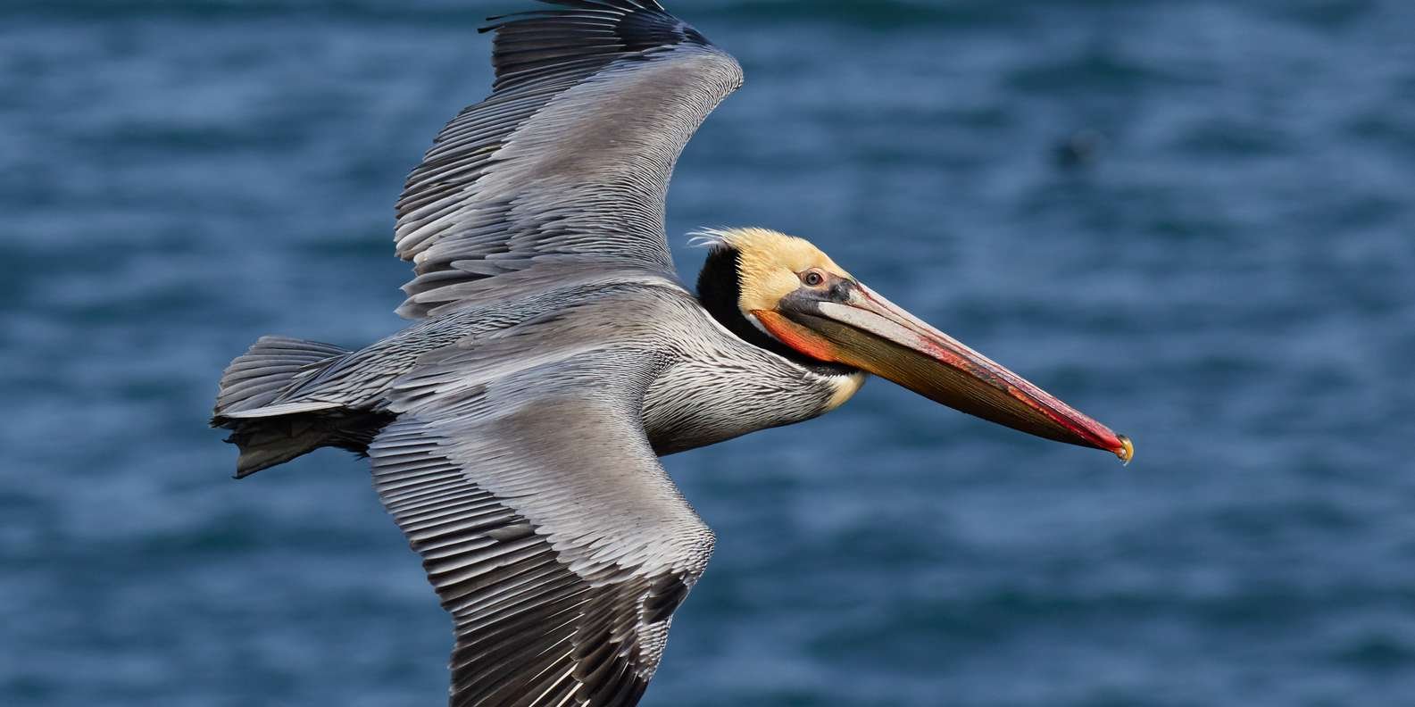 Samana: Private Los Haitises Expedition Caves & Mangroves - Immagine 5