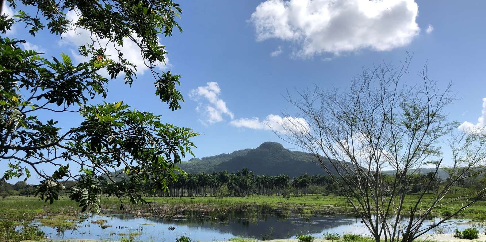 VIP DayPass | ATV's, Zip Lines, Horse Riding| Hotel & Cruise - Image 5