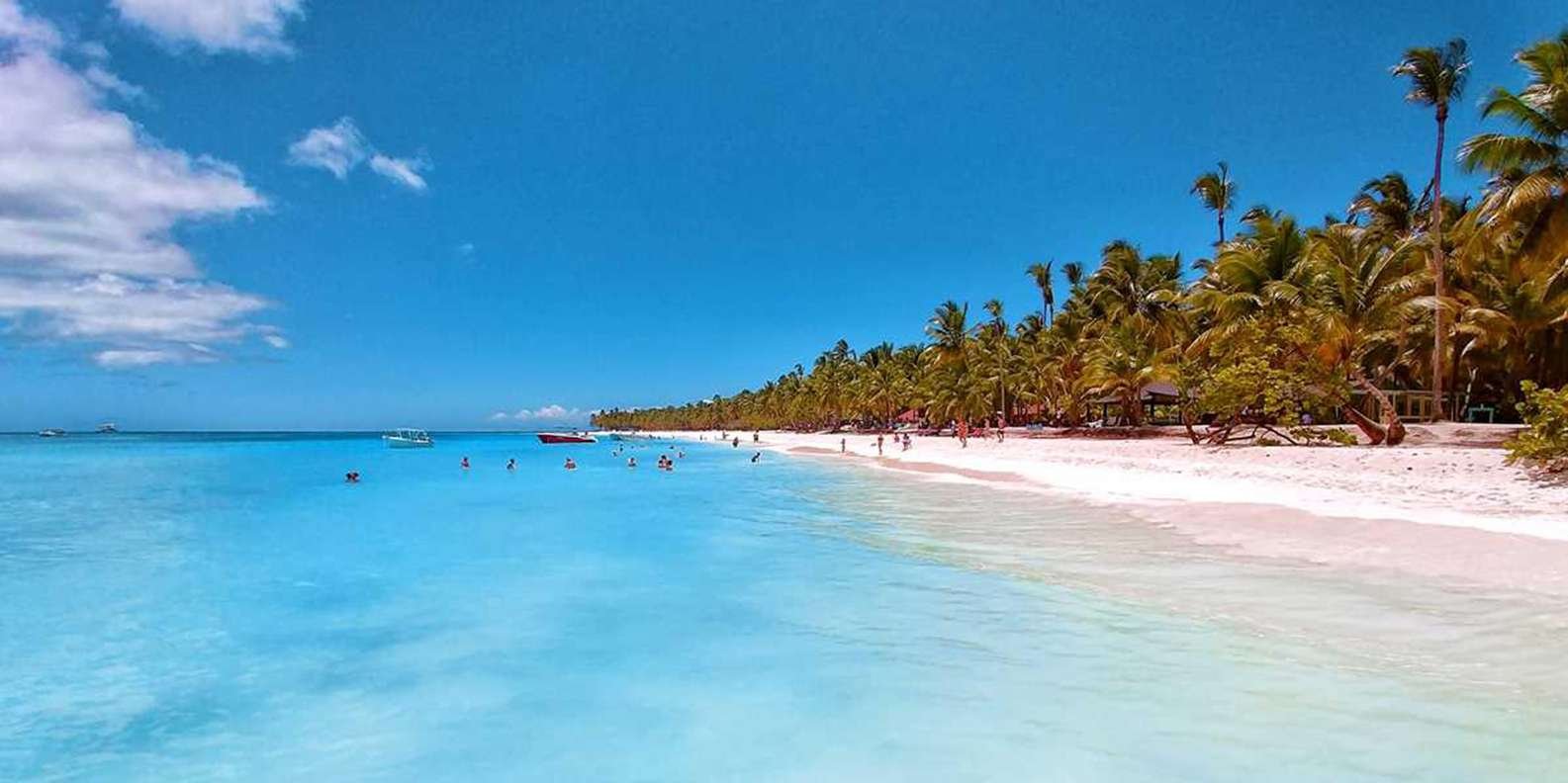 Full-Day Saona Island Tour by Speedboat - Bild 5