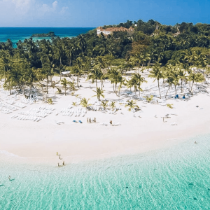 Punta Cana: Samana Full Day Trip Whale Cascada El Limon