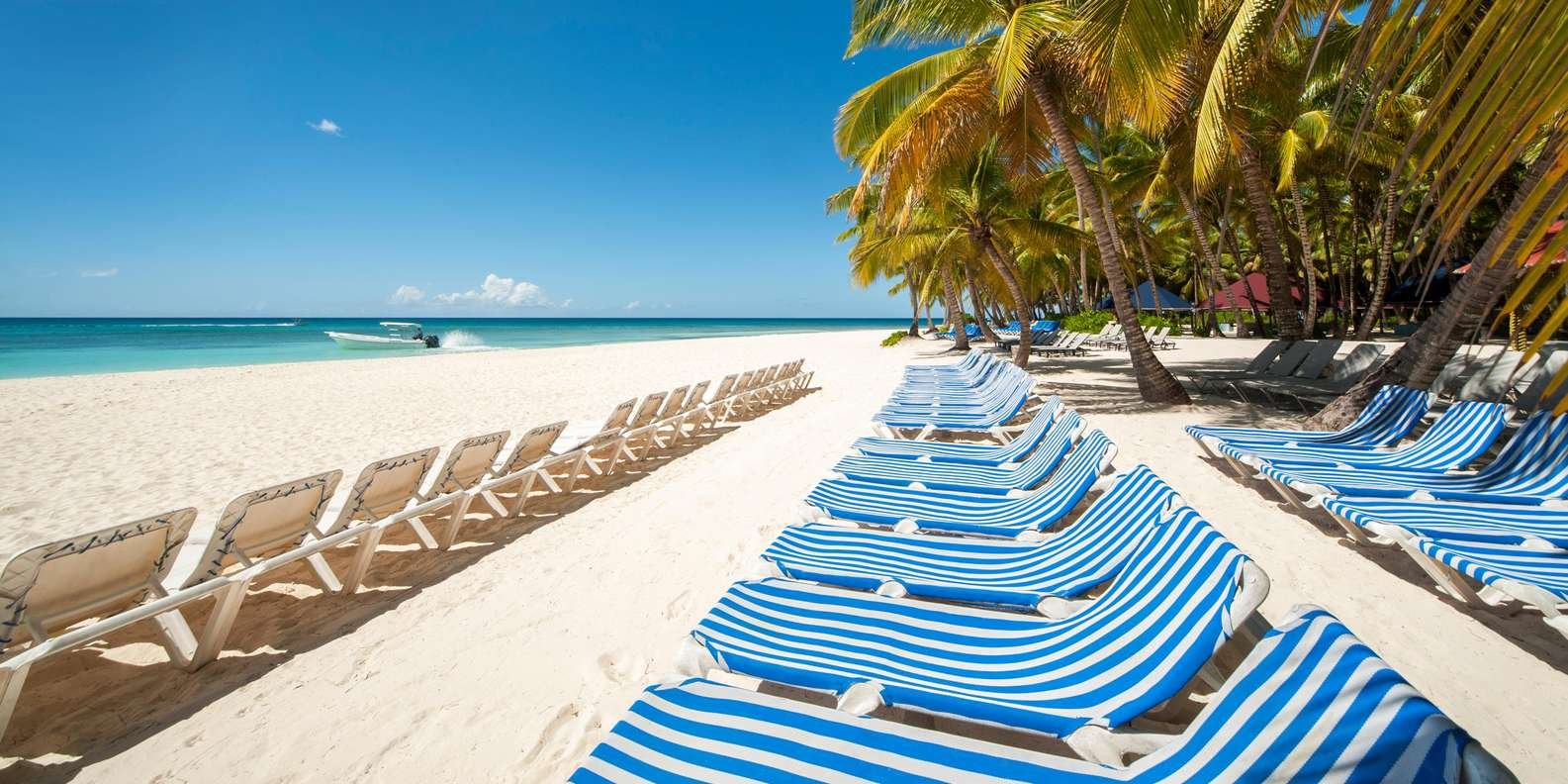 Saona Island Excursion from Punta Cana - Immagine 5