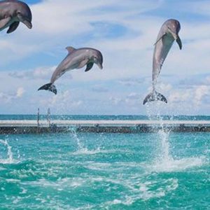 Party Boat / Fiesta En Catamarán En Punta Cana / Free Drinks