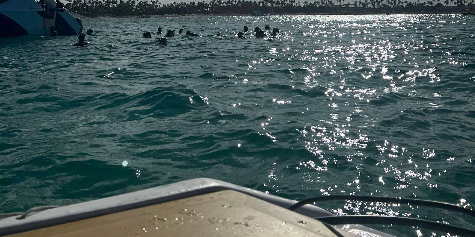 Speedboat Adventure: Exhilarating Experience in Punta Cana - Immagine 7