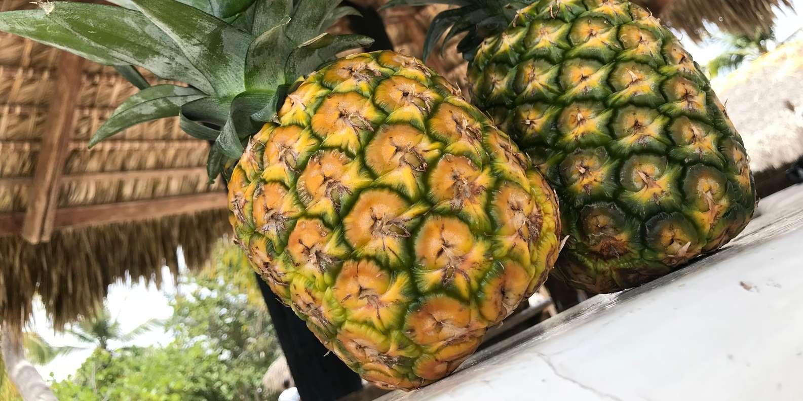 All-Inclusive Saona Island Day Trip from Punta Cana - Image 7