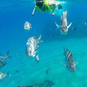 Snorkeling Tour & Sosua Beach Day