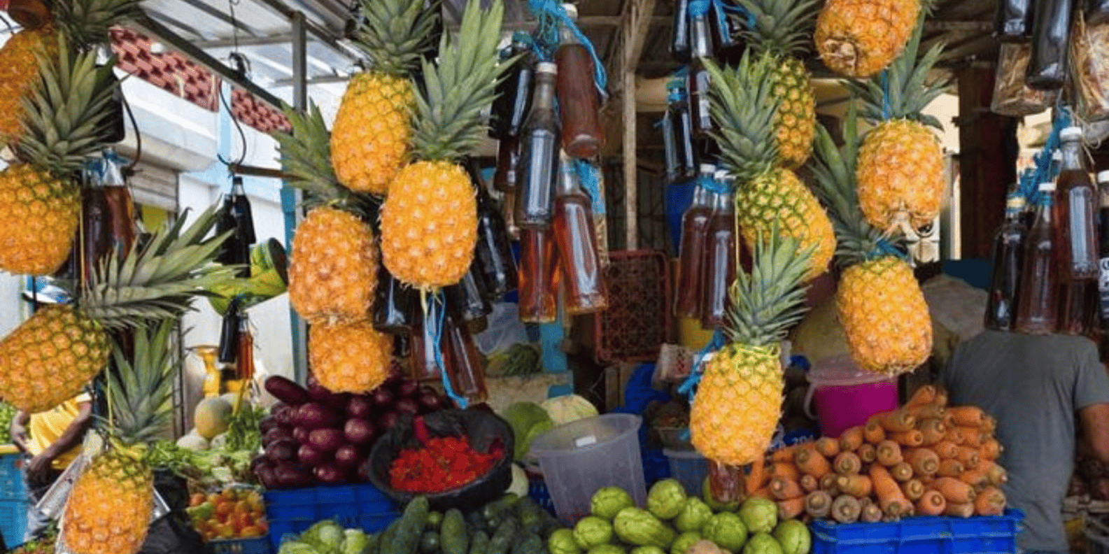 Small Group: Half Day Dominican Republic Cultural Tour - Obrázek 16