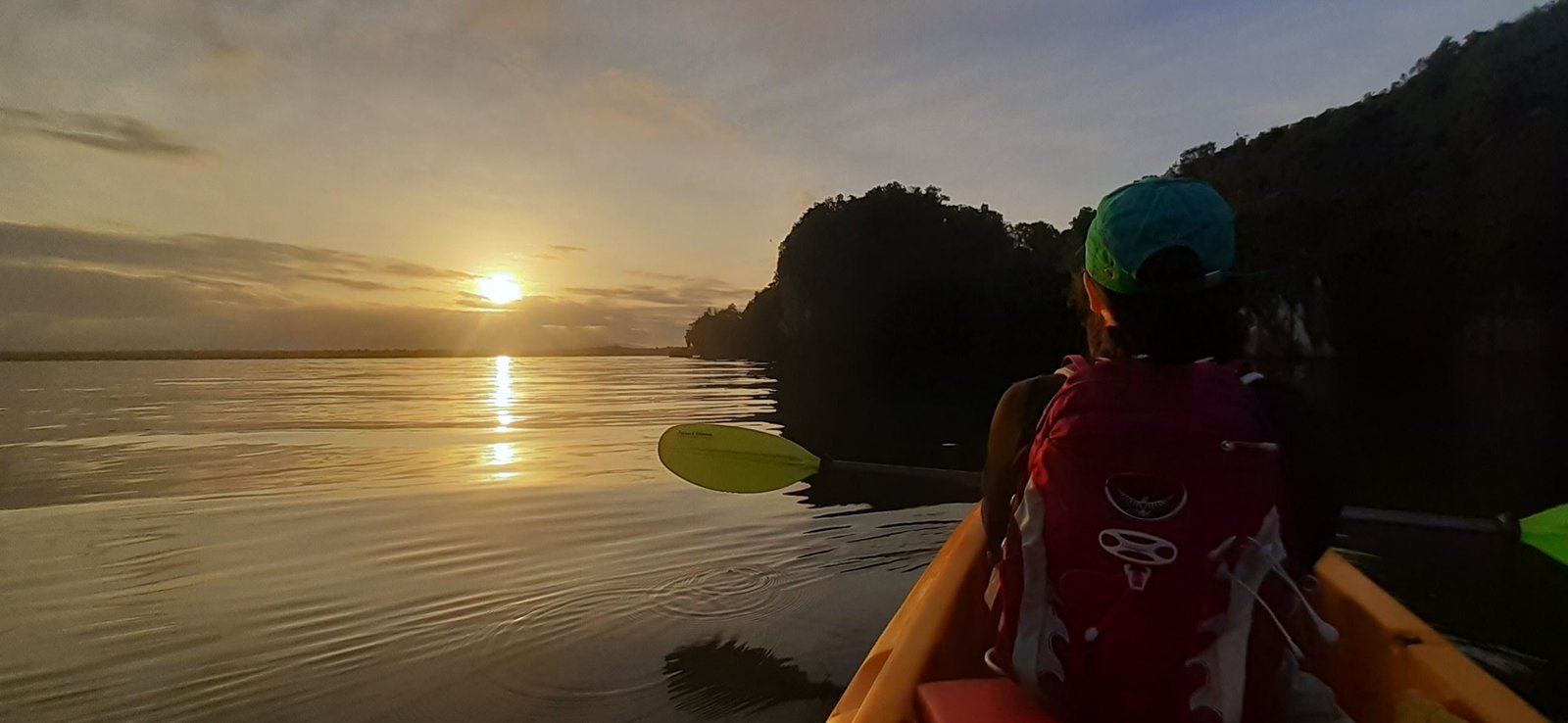 Caño Hondo : Los Haitises Sunrise or Sunset Private Kayak Excursion with Locals - Obrázek 30