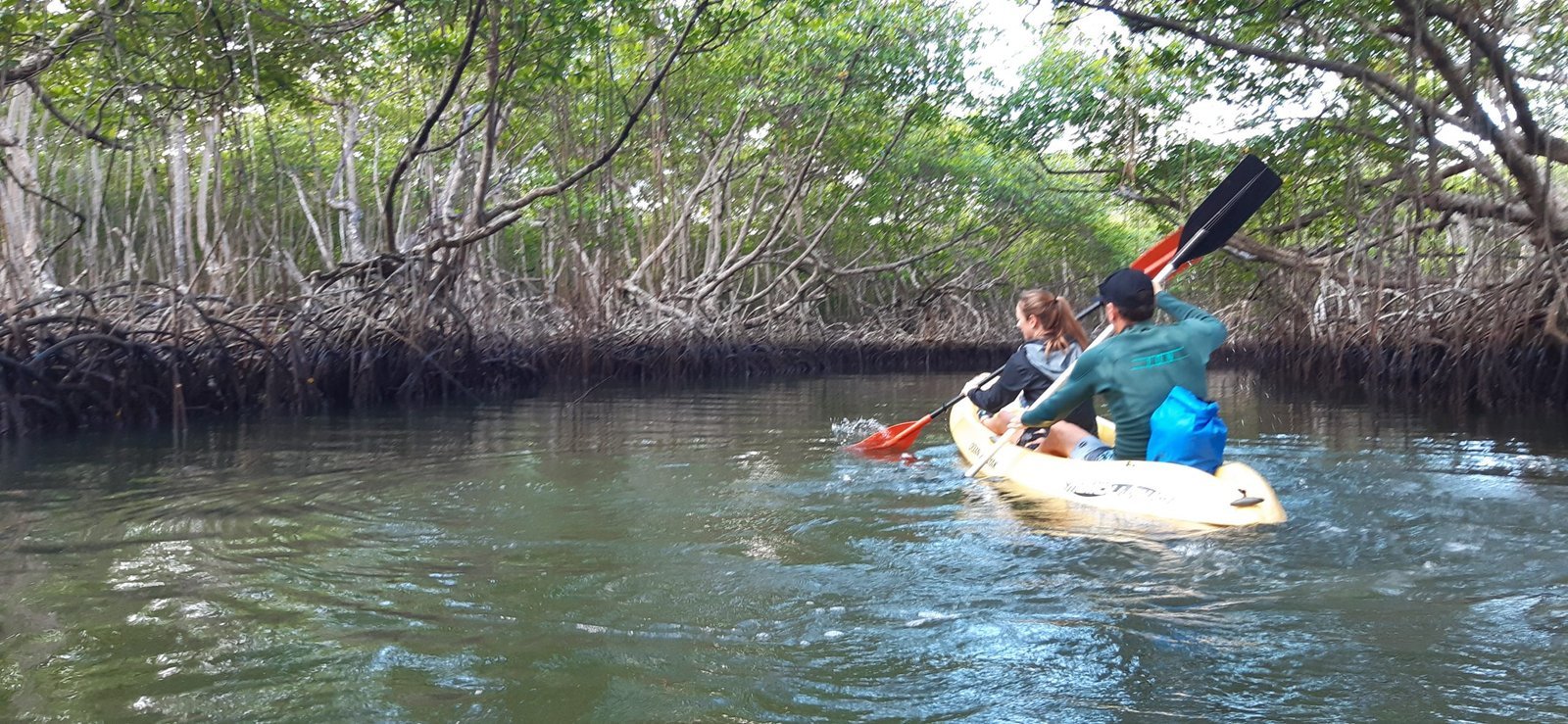 Caño Hondo : Los Haitises Sunrise or Sunset Private Kayak Excursion with Locals - Obrázek 25