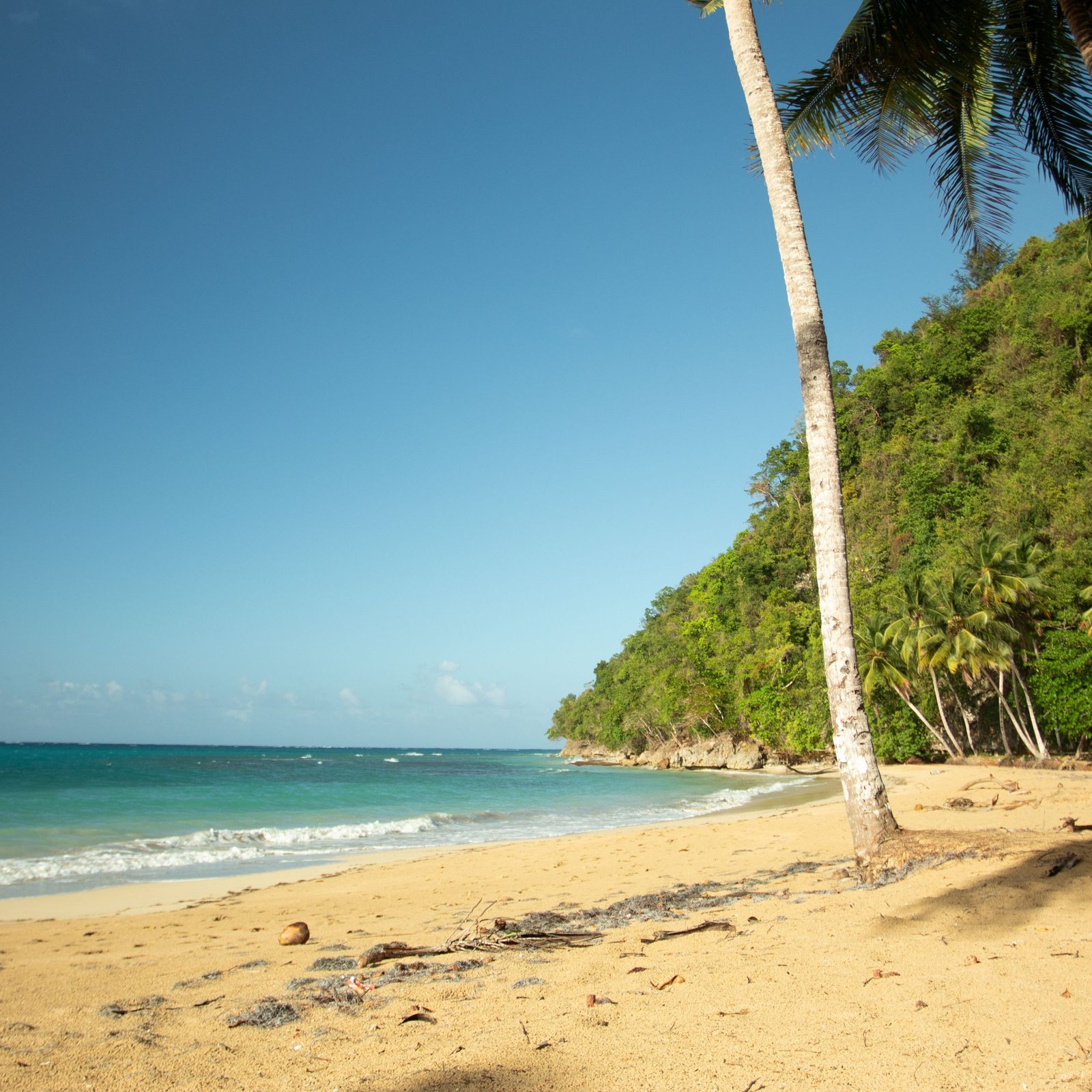 Complete Samaná Tour: Jackson Beach – Hiking, River Ride, and Snorkeling from La Majagua - Obrázek 5