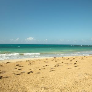 Complete Samaná Tour: Jackson Beach – Hiking, River Ride, and Snorkeling from La Majagua