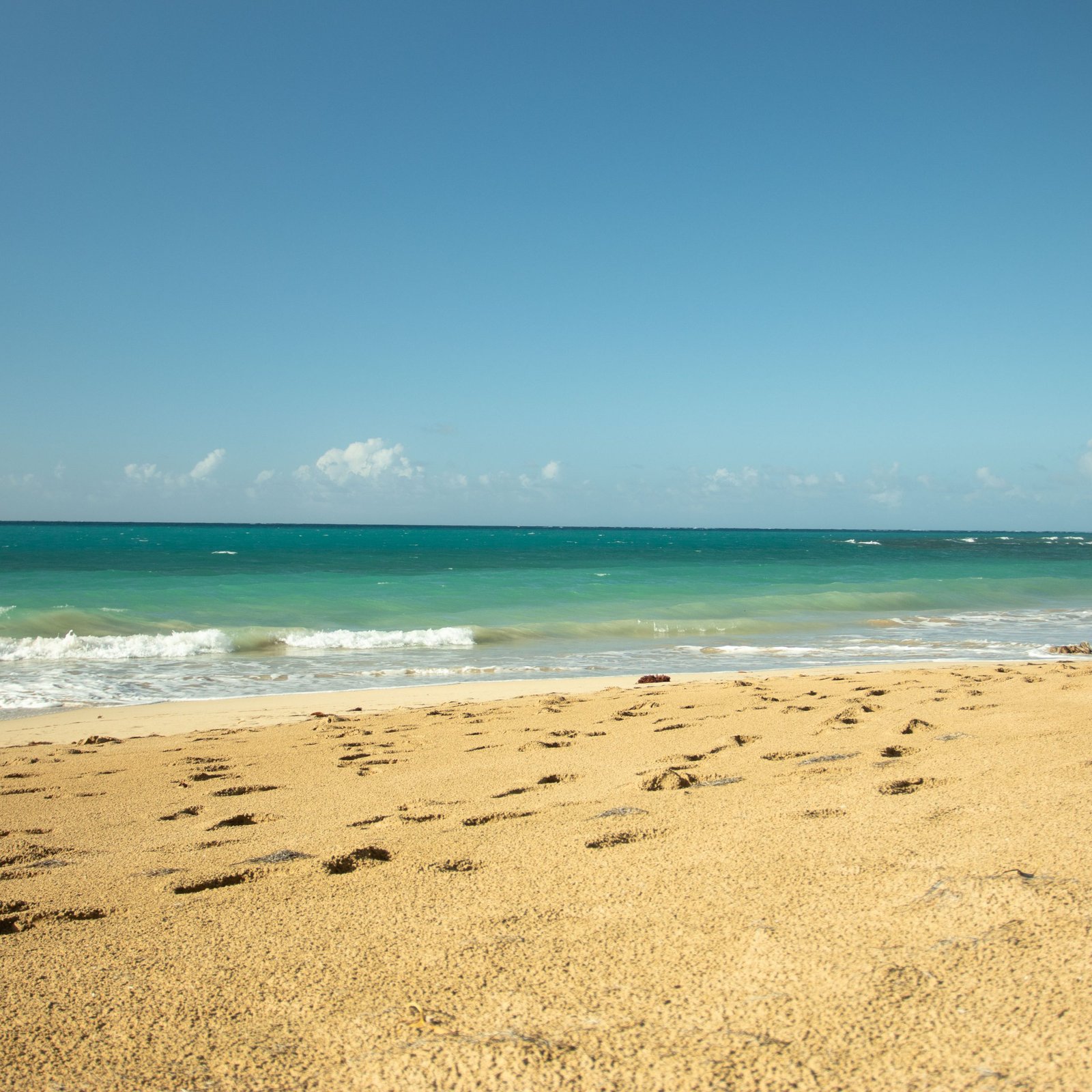 Complete Samaná Tour: Jackson Beach – Hiking, River Ride, and Snorkeling from La Majagua