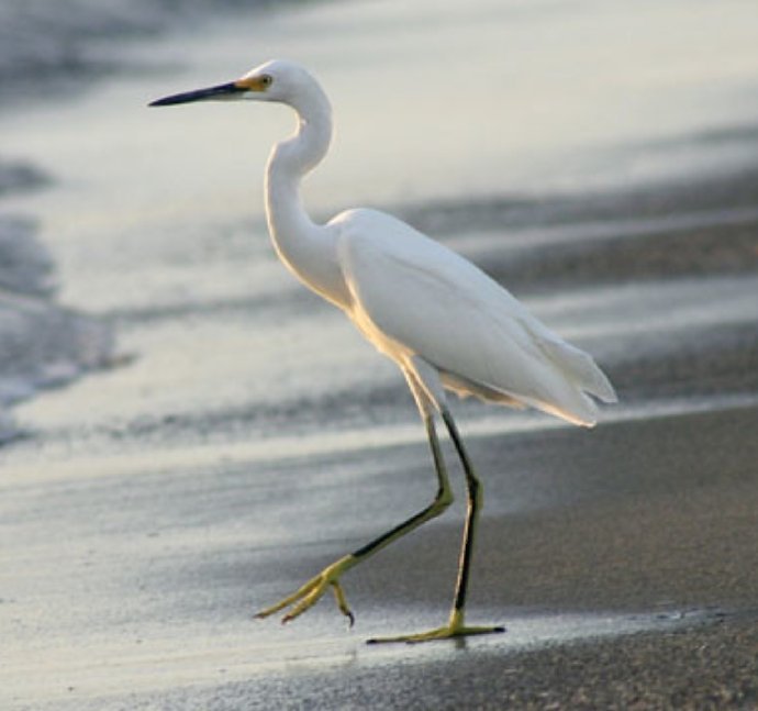Caño Hondo : Los Haitises Sunrise or Sunset Private Kayak Excursion with Locals - Obrázek 17