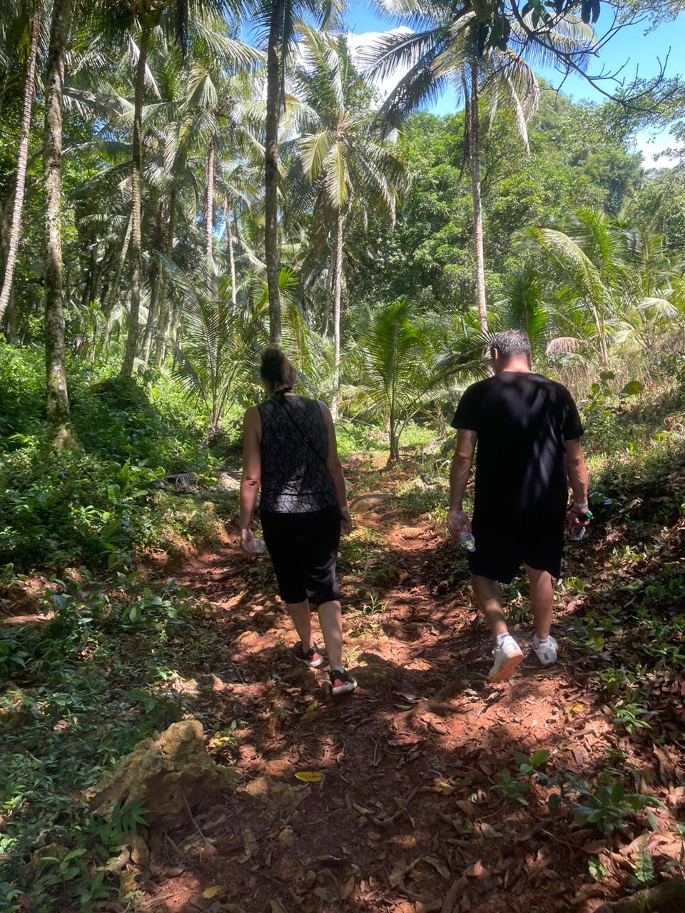 Sabana de la Mar: Private Los Haitises Hike and Kayak - Obrázek 13