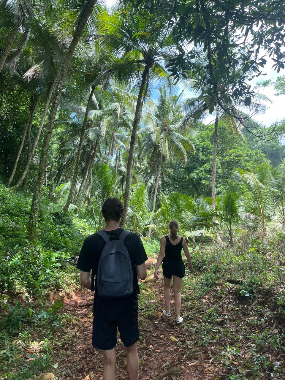 Sabana de la Mar: Private Los Haitises Hike and Kayak - Obrázek 12