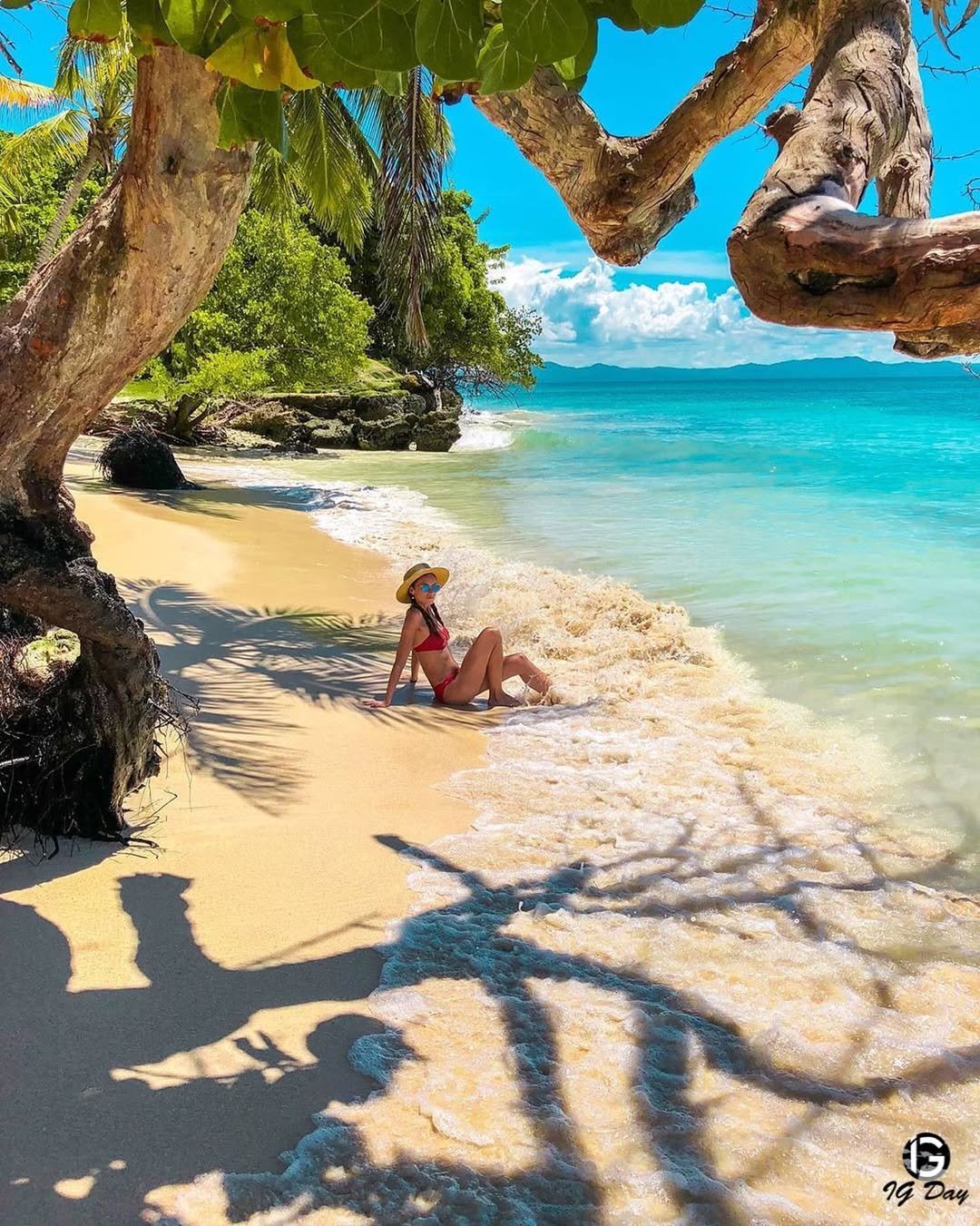 Affordable Whale Watching in Samaná - Only $39 | Dominican Republic Tours - Image 13