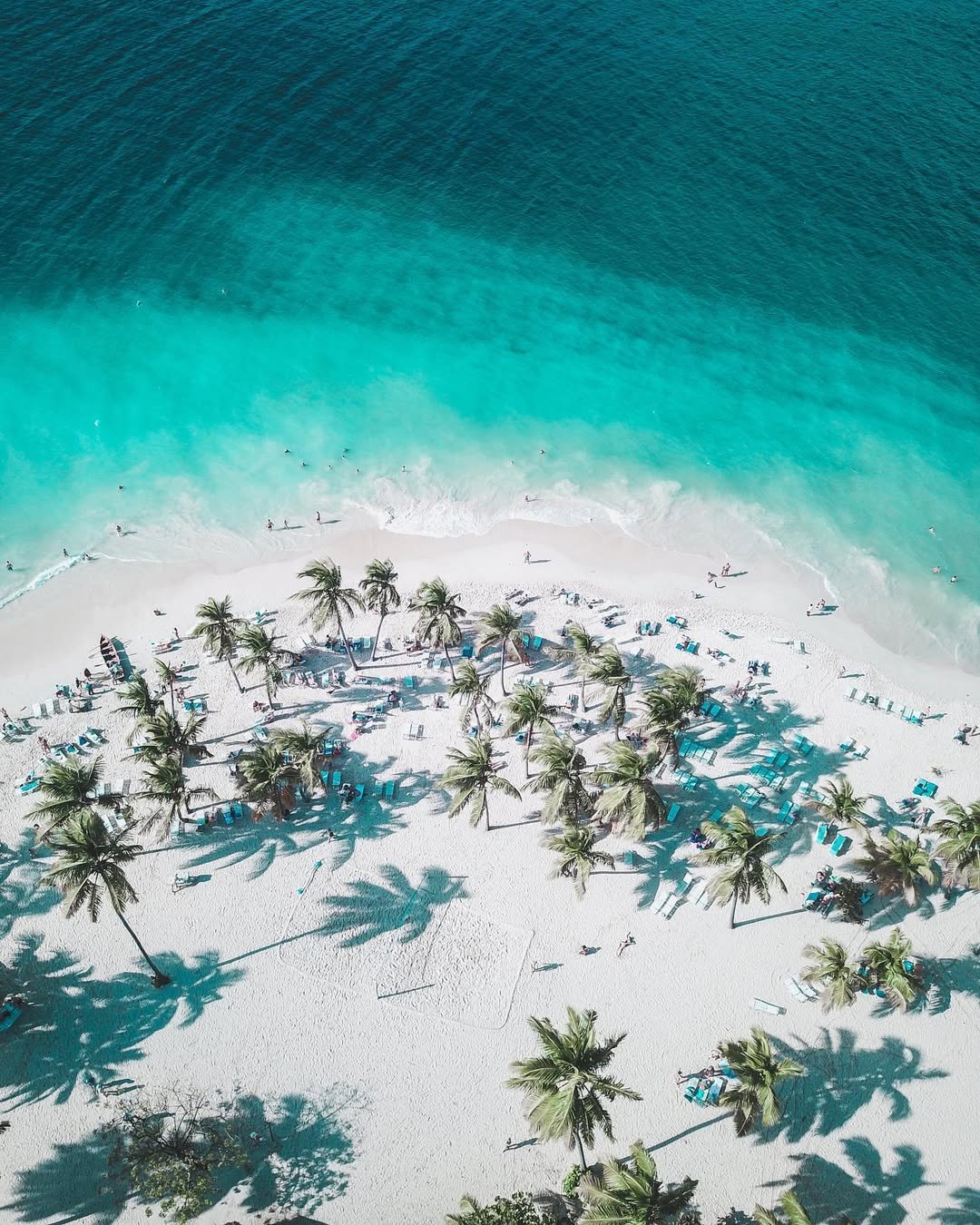 Affordable Whale Watching in Samaná - Only $39 | Dominican Republic Tours - Image 17