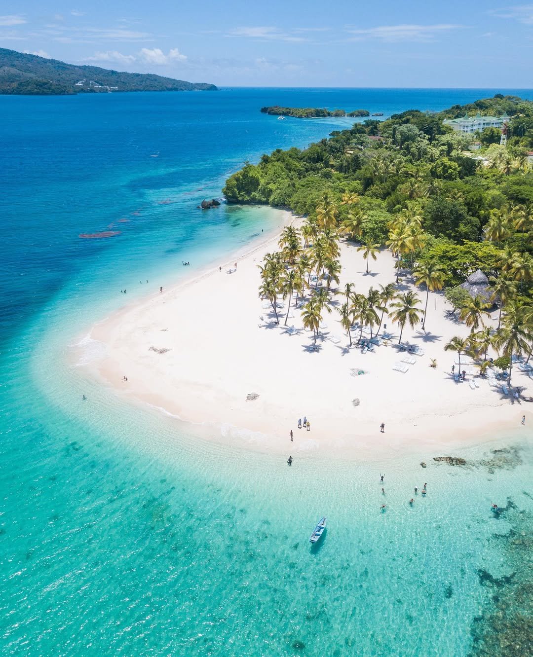 Affordable Whale Watching in Samaná - Only $39 | Dominican Republic Tours - Image 10