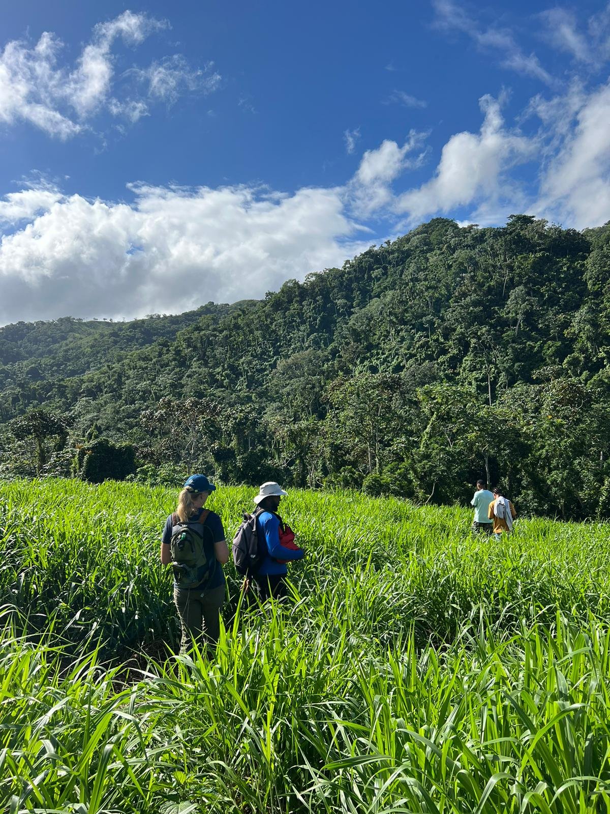 Salto de la Jalda – Horseback & Hiking Adventure From Miches - Obrázek 11