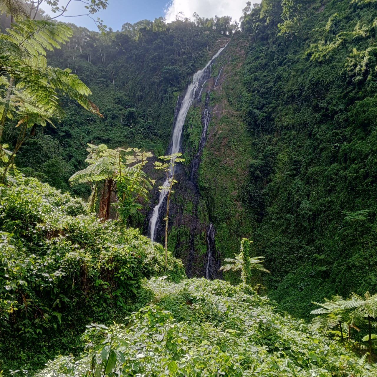 Salto de la Jalda – Horseback & Hiking Adventure From Miches - Obrázek 10